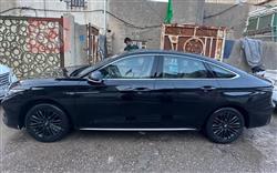 شيري أريزو 8